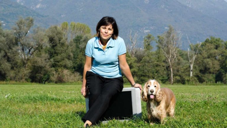 Veterinarian examining pet with Affordable Pet Insurance New Mexico plan