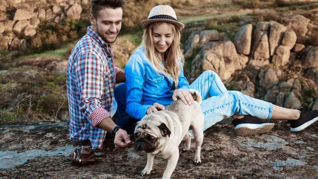 A couple sitting on rocky terrain with their pug during a Montana hike, symbolizing pet insurance Montana and pet safety outdoors.