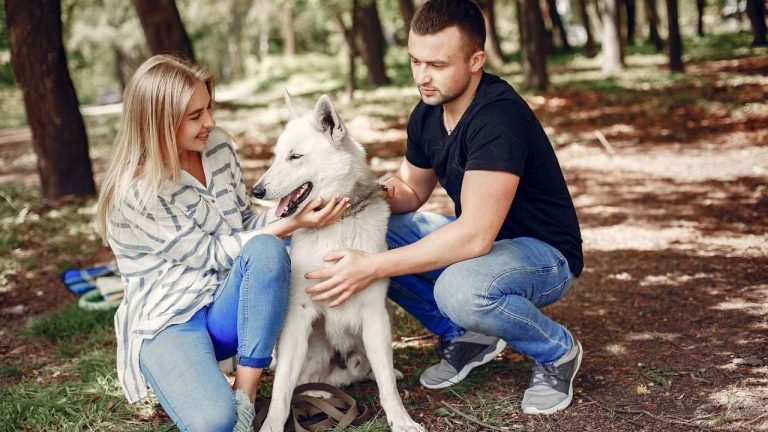 A couple sitting in a park with their happy white dog, representing pet insurance Montana.