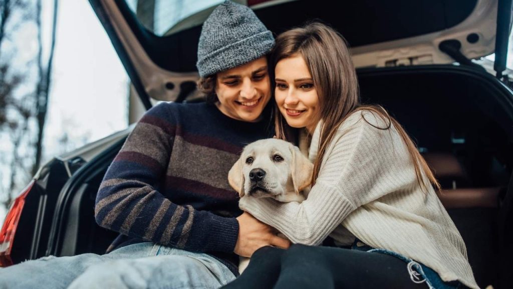 A young couple sitting with their dog in the back of a car, symbolizing the care and protection offered by Pet Insurance Montana.