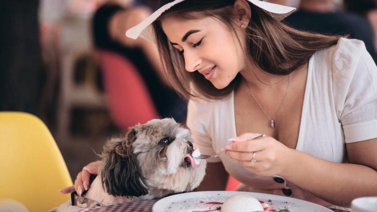 A woman lovingly feeding her small dog at an outdoor café, representing happy pets with pet insurance in Bakersfield.