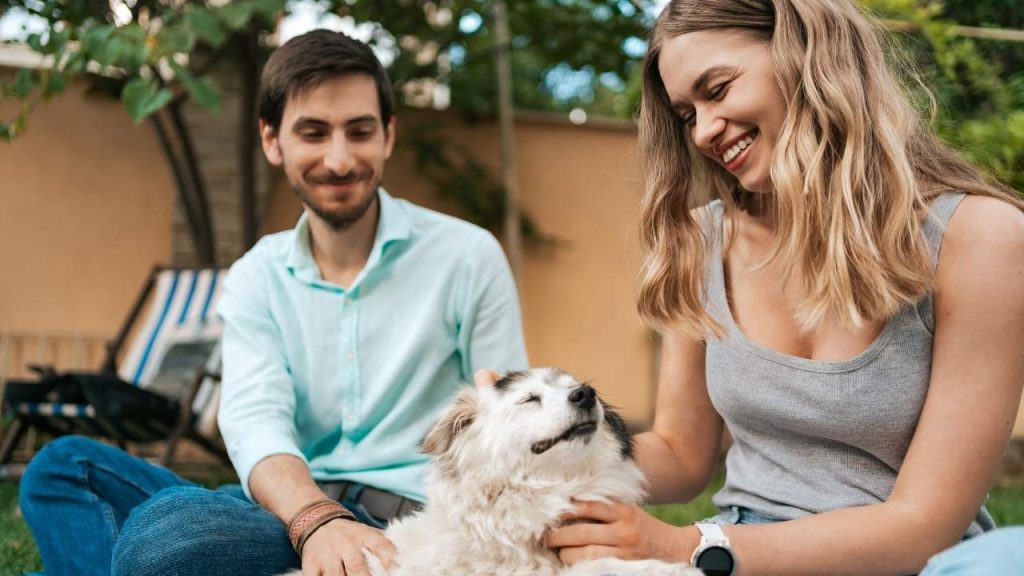 A smiling couple playing with their fluffy dog in the yard, showing pet happiness and safety with pet insurance in Bakersfield.