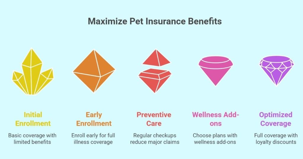 Dog receiving care under Pet Insurance New Mexico plan