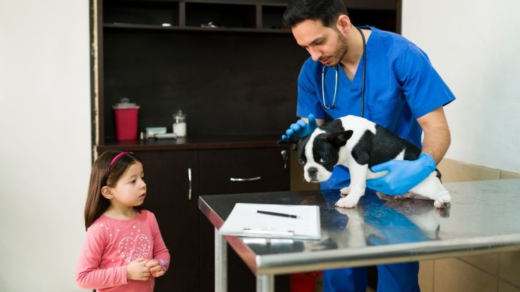A veterinarian in blue scrubs examining a small black and white dog on a clinic table while a young girl watches, showing the value of pet insurance in Bakersfield.